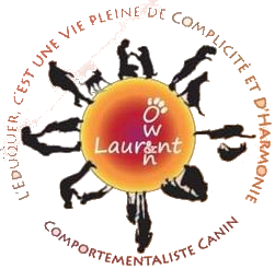 Owen et Laurent logo